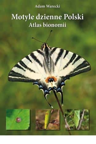 Koliber Butterflies of Poland Atlas of Bionomy TW ed. 2021