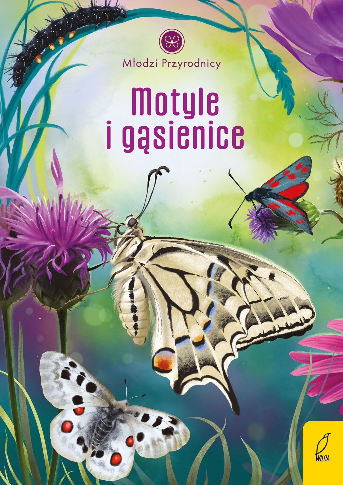 Young Naturalists Butterflies and Caterpillars - Book for Little Explorers