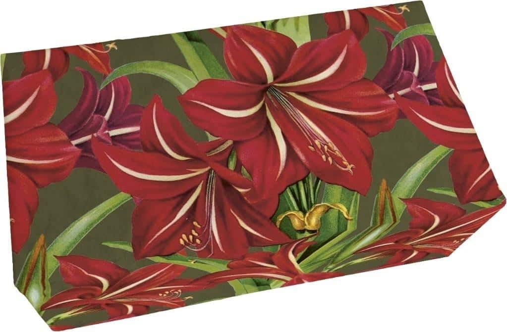 Skona Ting Soap 200g - Apple refreshment for your skin