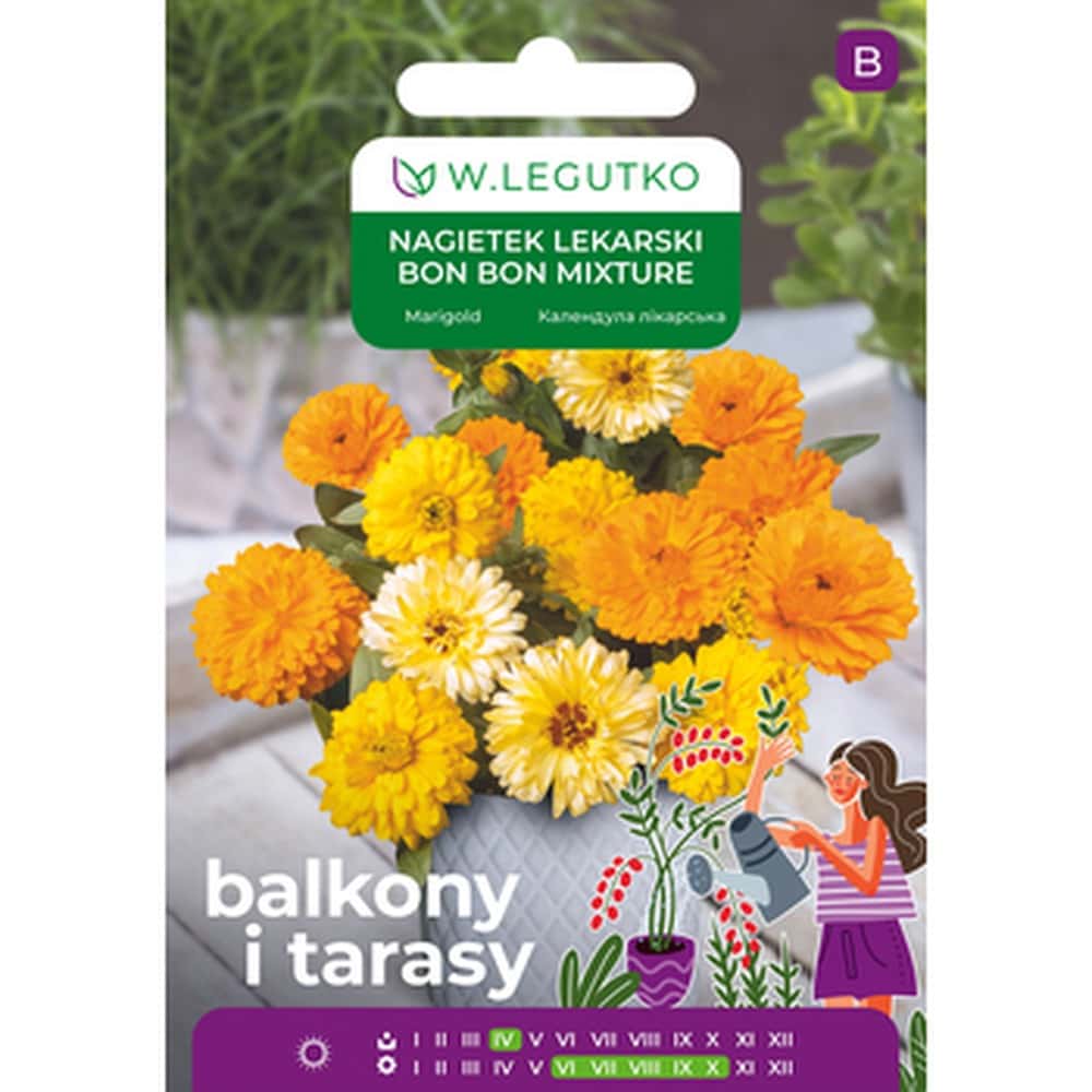 Calendula Bon Bon - edible flowers for your garden