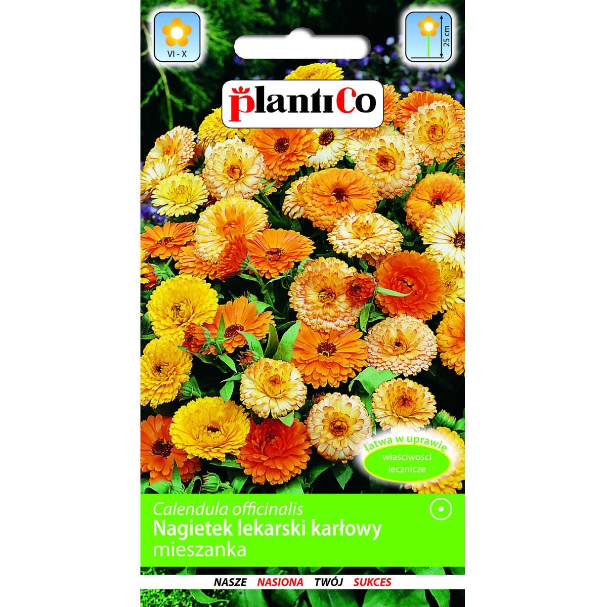 Plantico Dwarf marigold - dwarf mix for your garden