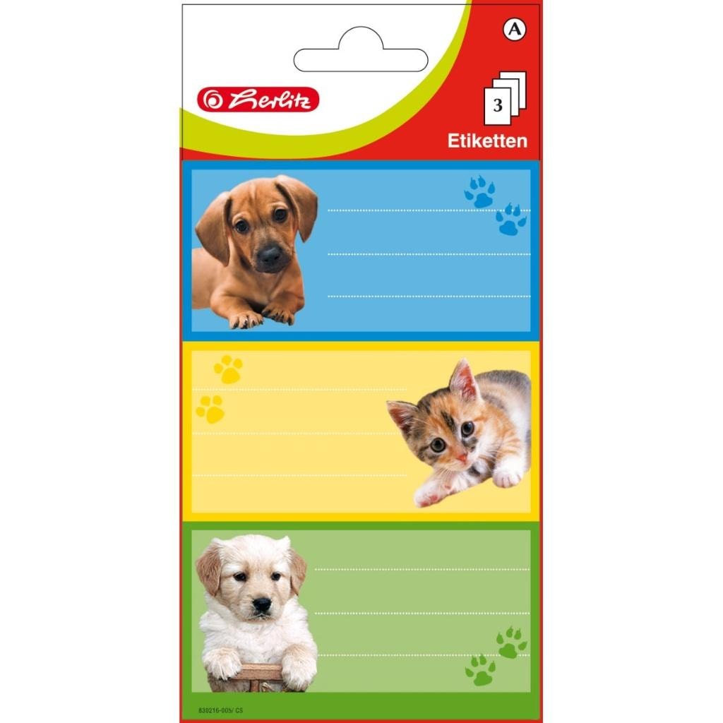 Stickers A school cat/dog - Self-adhesive decorations for notebooks