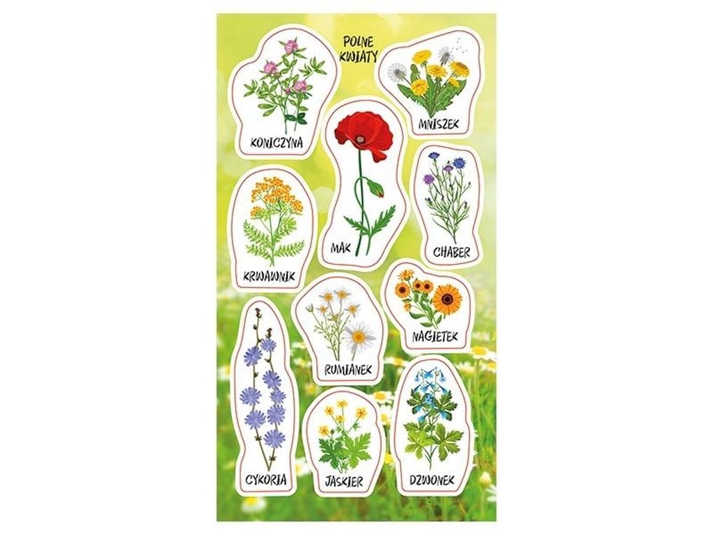 Ranok-Creative Wildflower Stickers - ideal for decorating