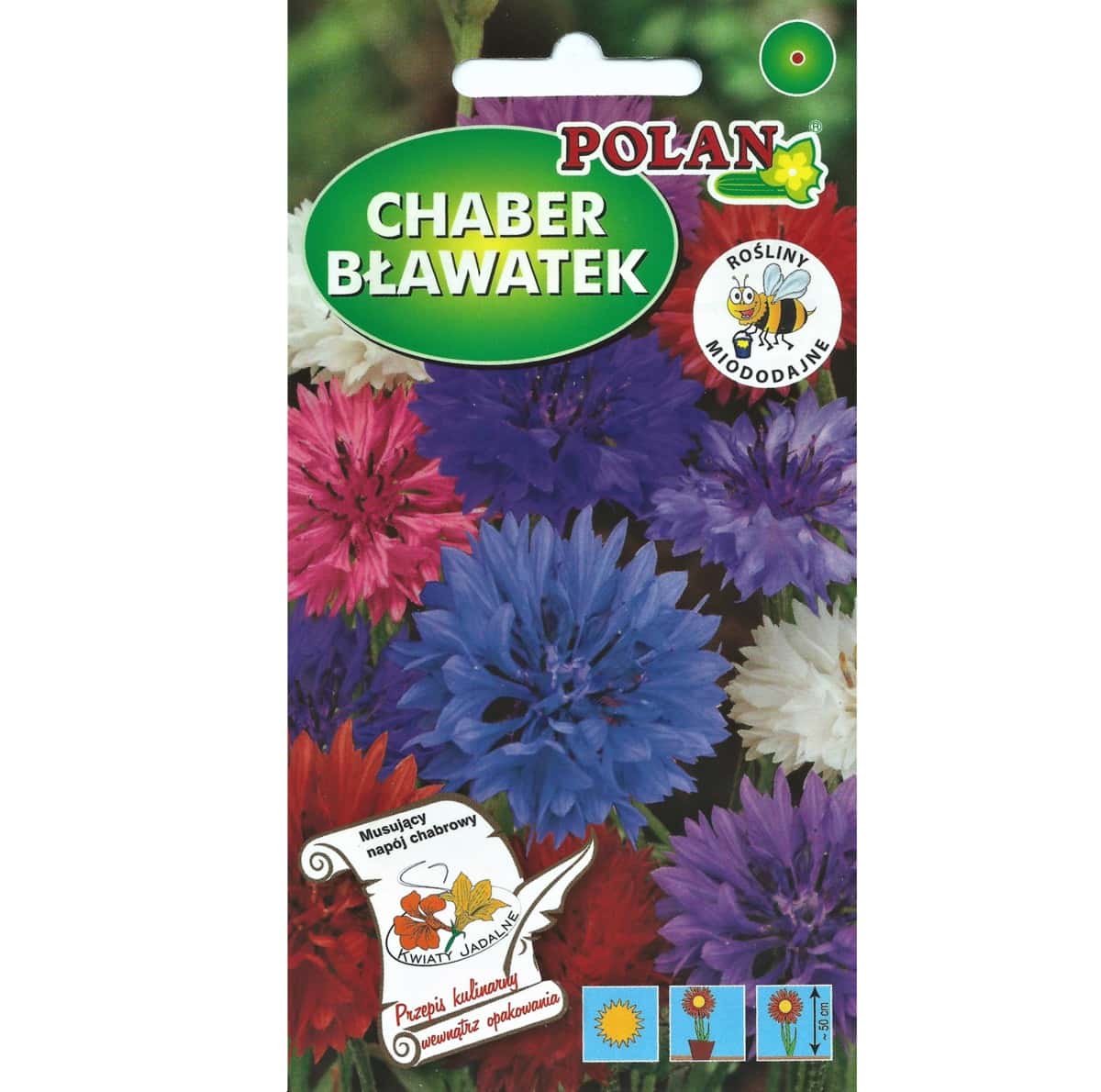 PlantiCo Cornflower - seeds of an ornamental and medicinal annual plant