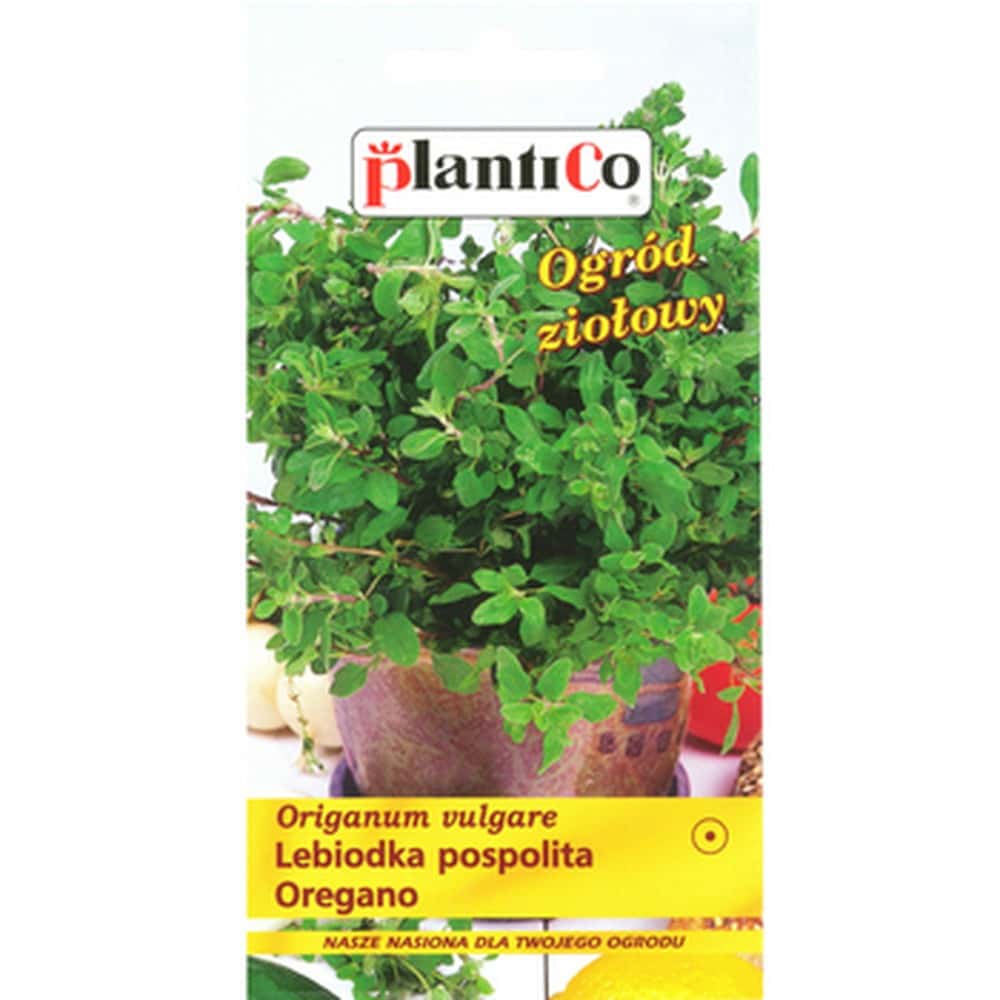 PlantiCo Oregano Seeds - aromatic herbs for your dishes