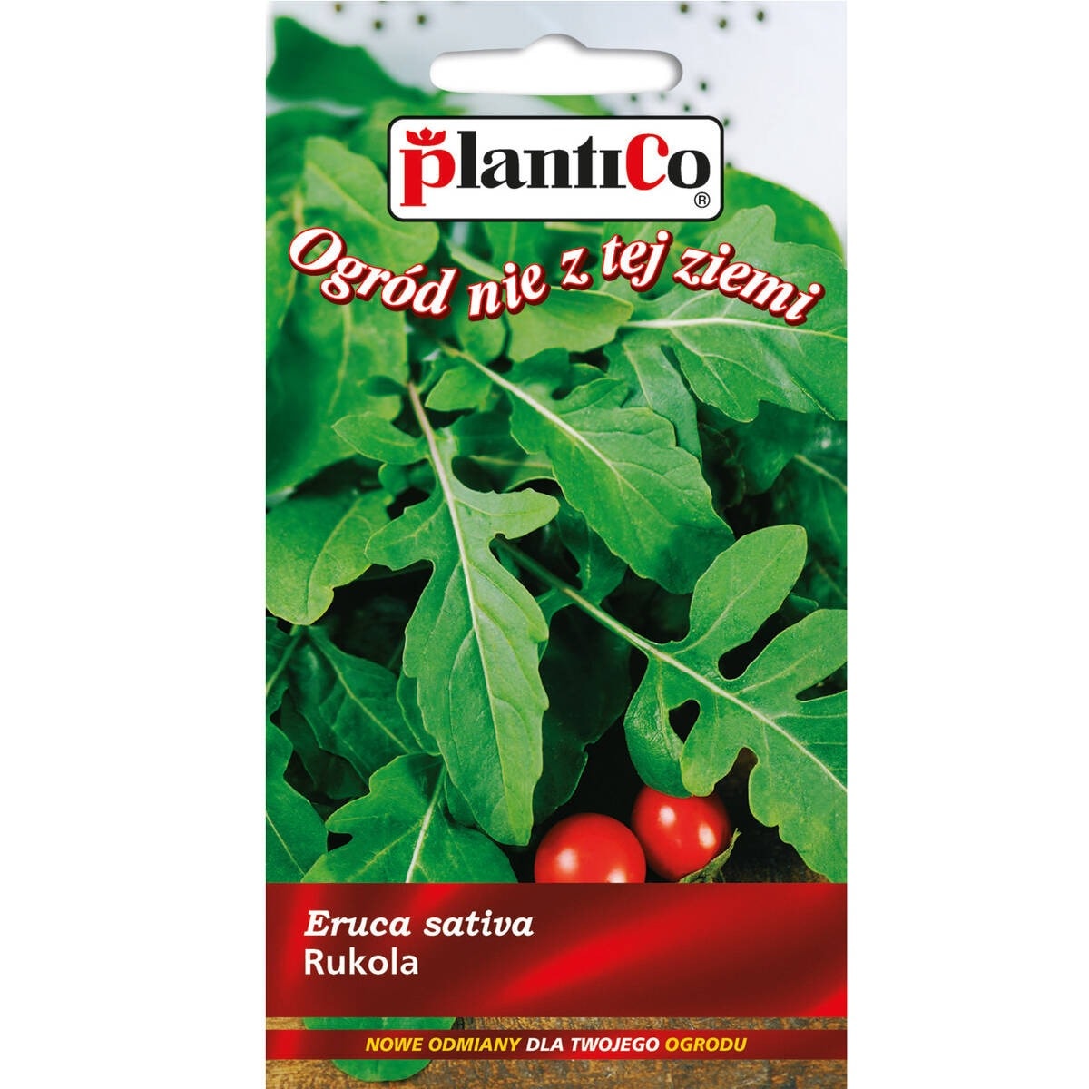 PlantiCo Rocket - seeds for year-round cultivation
