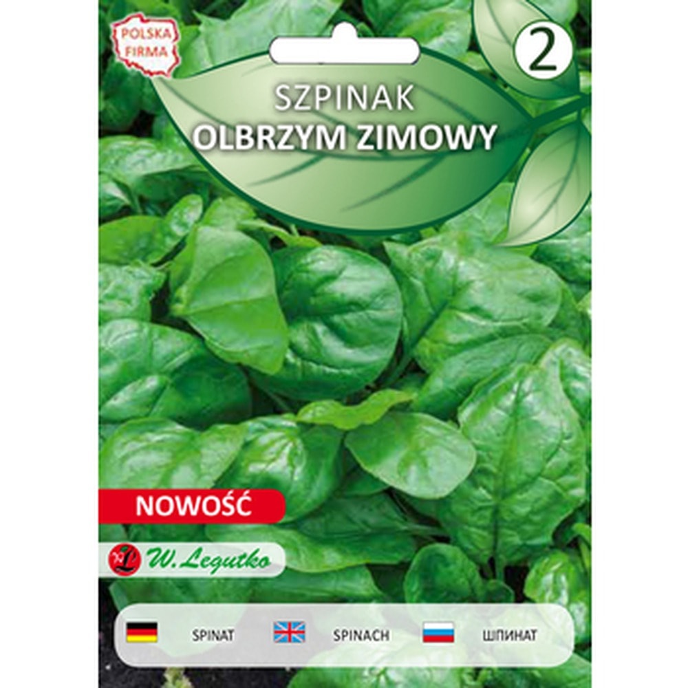 Giant Spinach Seeds - ideal for growing in the garden