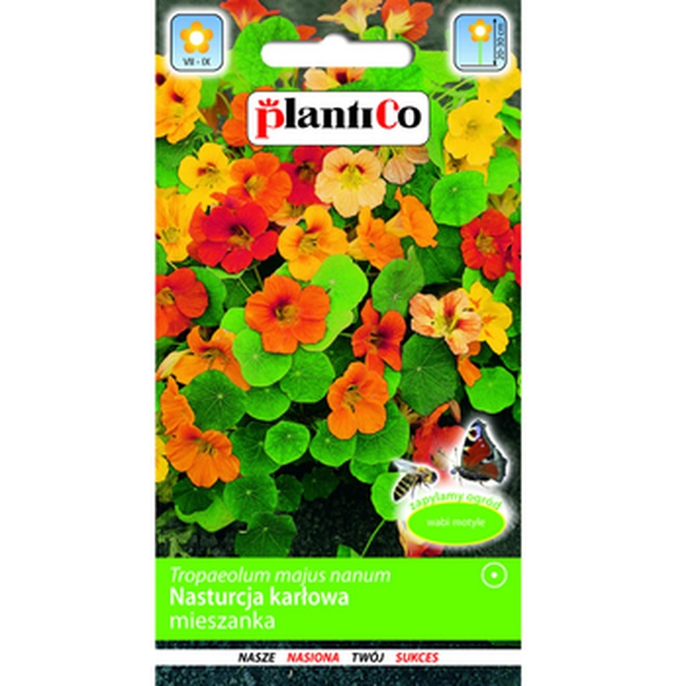 Plantico Nasturtium dwarf - mix of edible flowers for your garden