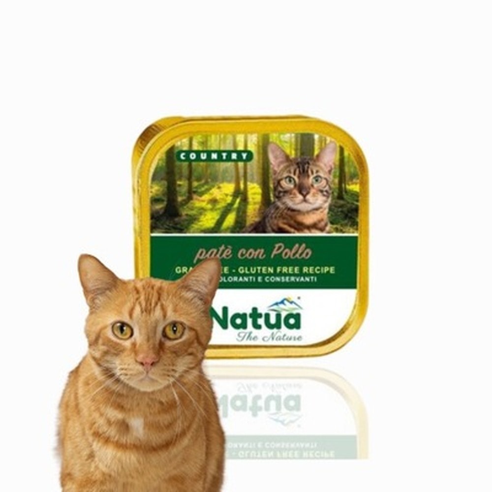 Natua Country Salmon - Delicious wet cat food with salmon 100g