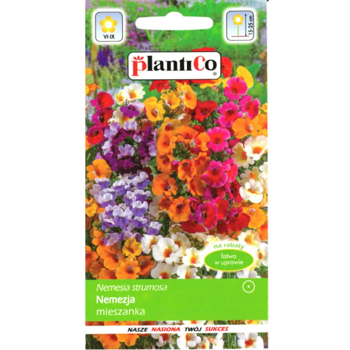 PlantiCo Nemesia Mix - annual flowers for garden and balcony