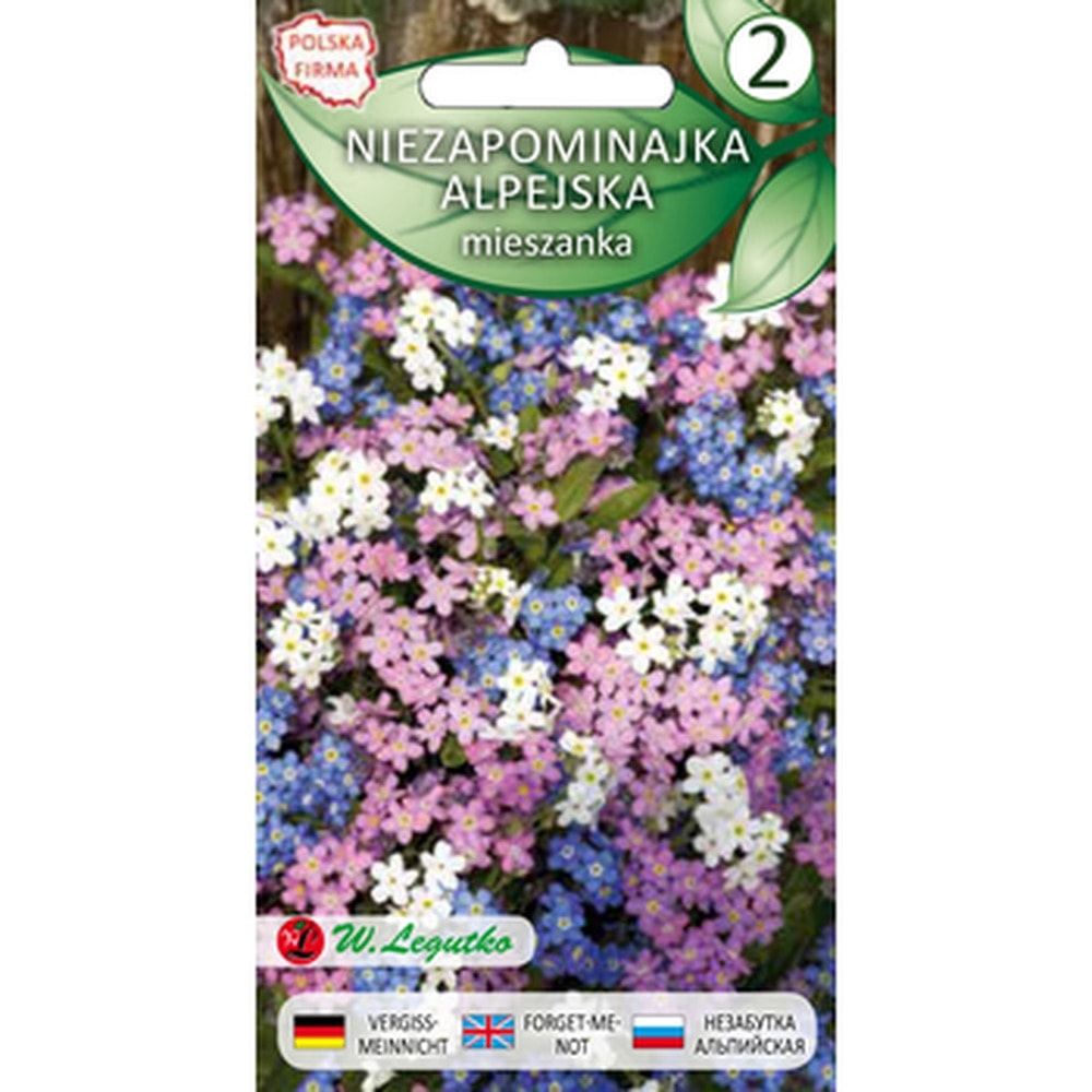 Legutko Alpine Forget-me-not - biennial plant for the garden