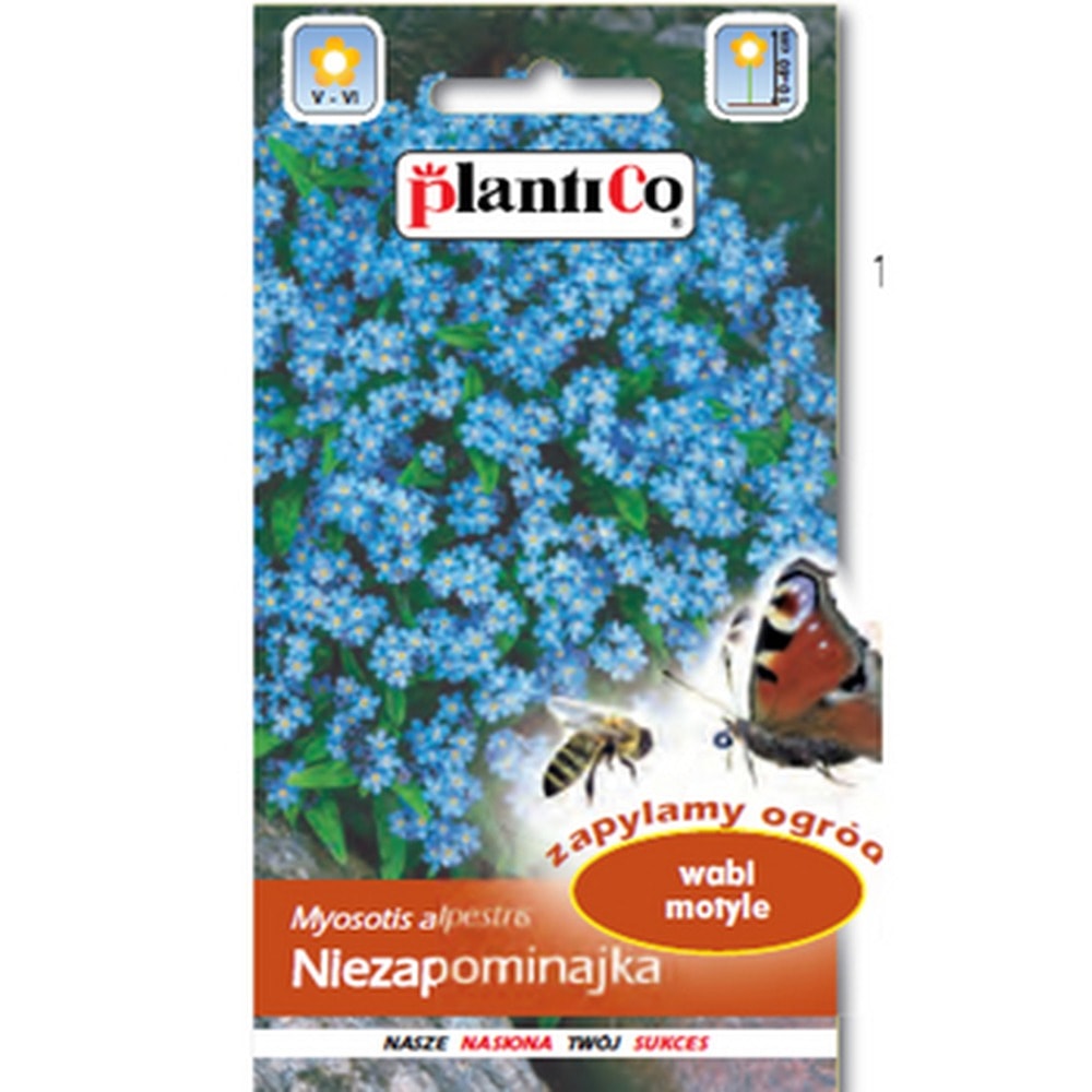 Blue Forget-me-not Plantico - Biennial plant attracting butterflies
