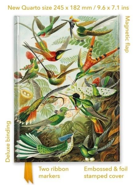 Flame Tree Notebook Quatro line TW Hummingbird Ernst Haeckel - ideal as a gift