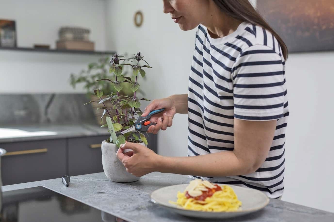 Freshcut Universal scissors for flowers and herbs - ideal for the garden