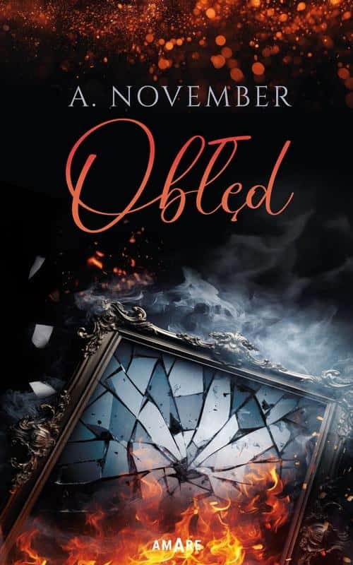 A. November - Obłęd - A novel full of secrets and emotions