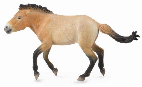Collecta Przewalski's Horse Figure - perfect for collectors