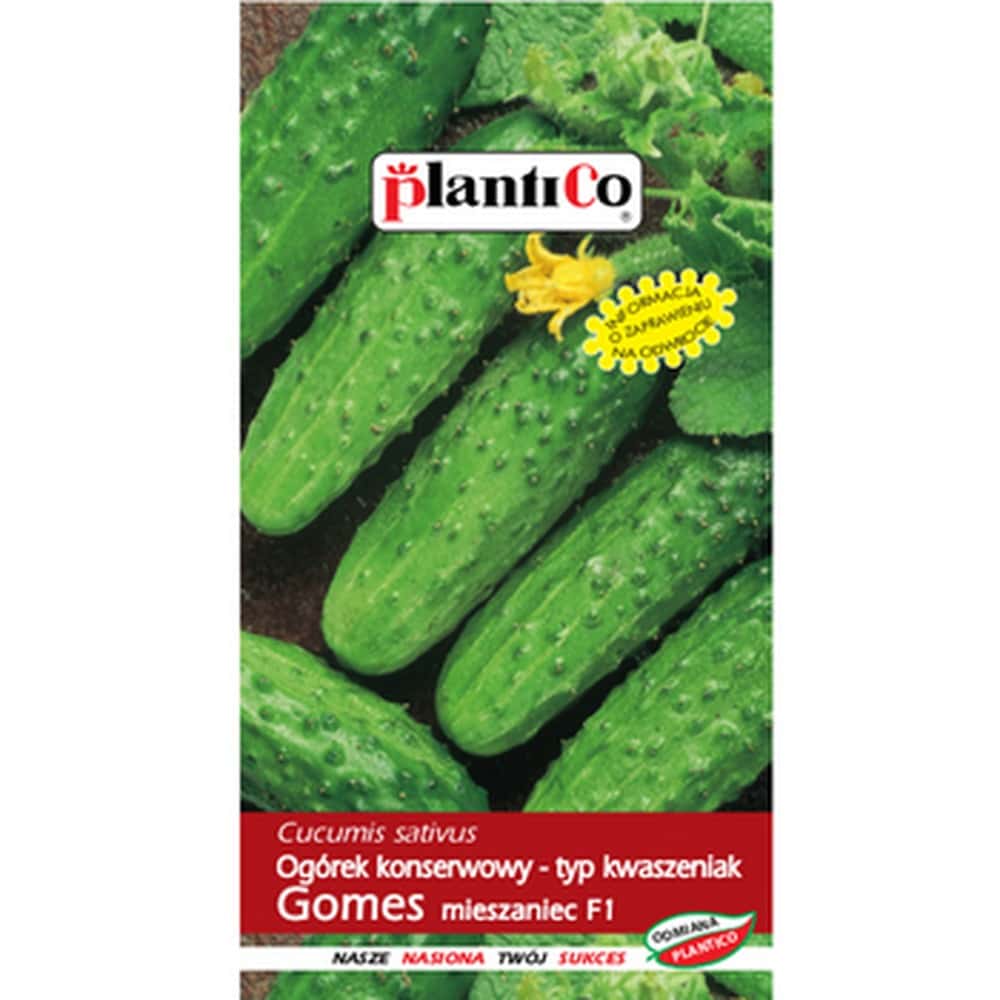 Plantico Cucumber Gomes F1 - seeds ideal for pickling and for lightly salted cucumbers