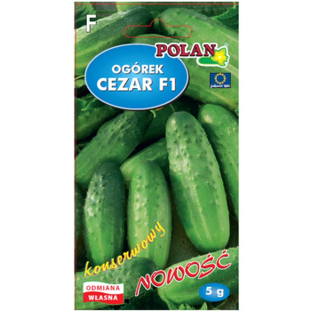 PlantiCo Cucumber Cezar F1 - seeds ideal for your garden