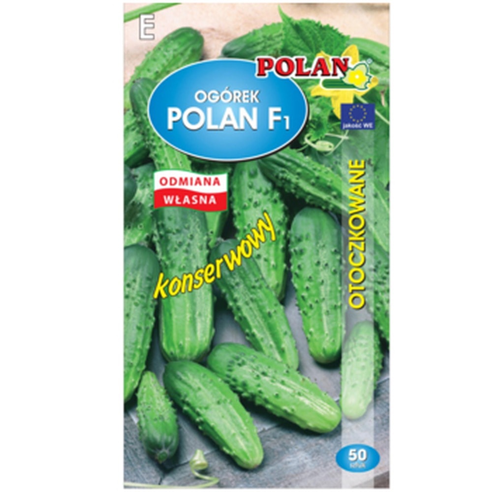 PlantiCo Cucumber field Polan F1 - pelleted seeds for abundant yields