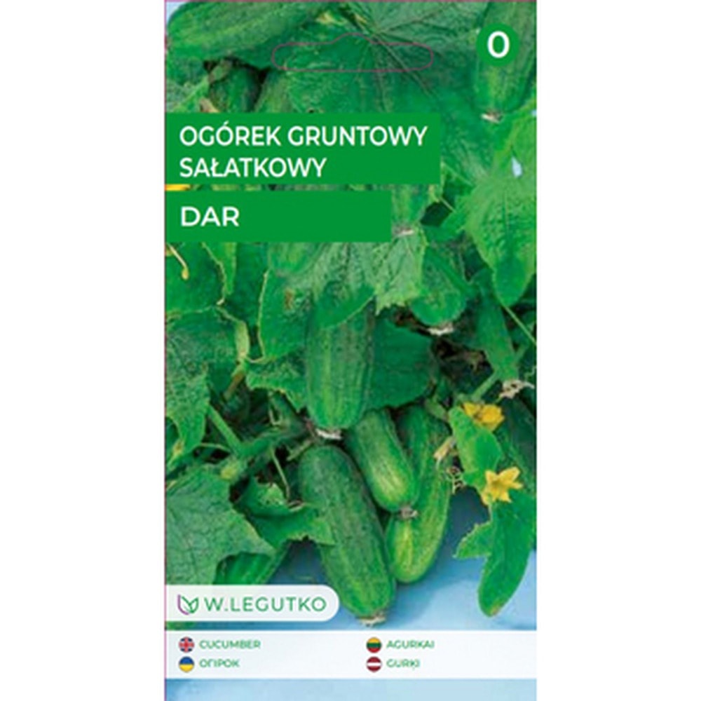 Cucumber Field Salad Dar - Organic Seeds for Your Garden