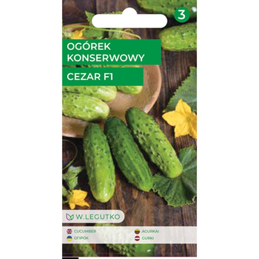 Pickling cucumber Cezar F1 - ideal for pickling