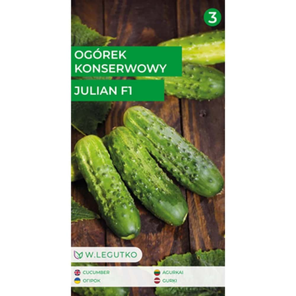 Pickling cucumber Julian F1 - medium early variety ideal for pickling