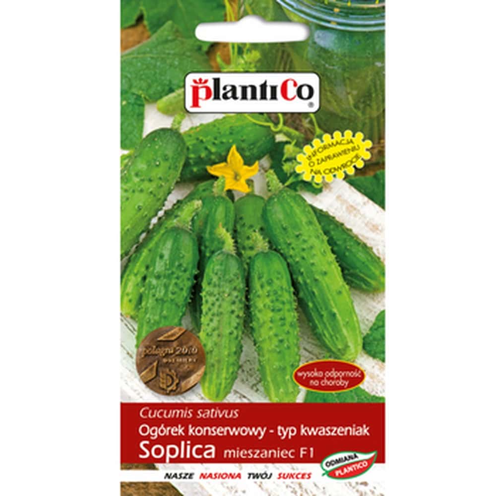 PlantiCo Cucumber Soplica F1 - seeds for abundant yield