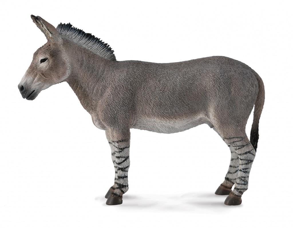 Collecta African Wild Ass - Collectible Figure for Animal Lovers