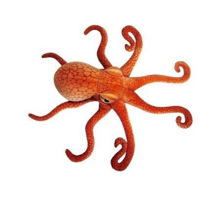 Plush Octopus - Soft Stuffed Animal for Kids 47cm