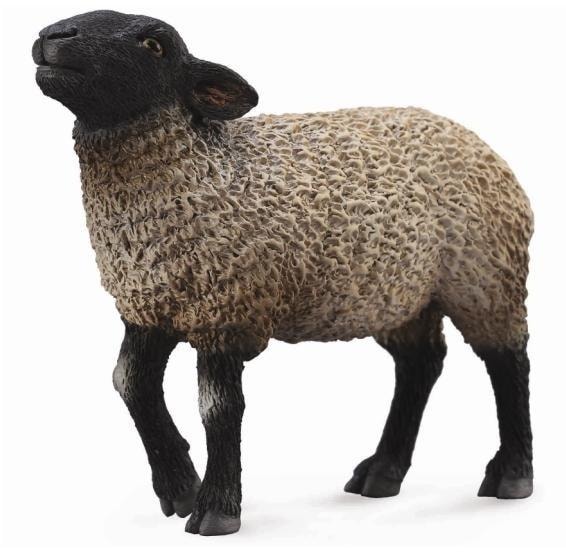 Collecta Suffolk Sheep - medium collectible figurine