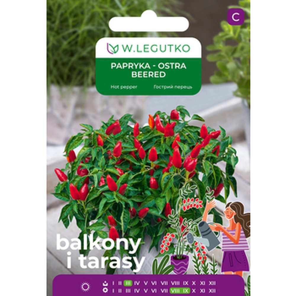 Hot Pepper Beered - early variety for growing in pots