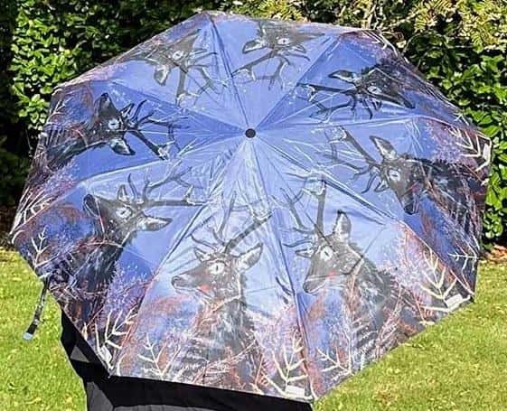 Umbrella Deer - Folding, colorful, perfect for rainy days