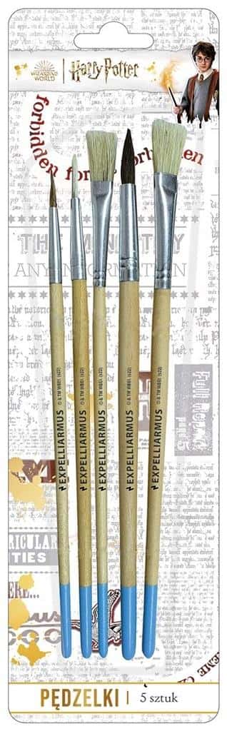 Harry Potter Brushes - Set of 5 Natural Bristle Brushes for Magic Fans