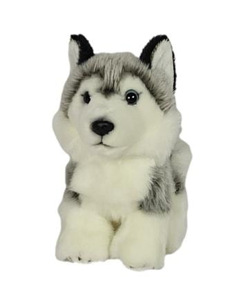 Husky Dog - Plush companion for every child