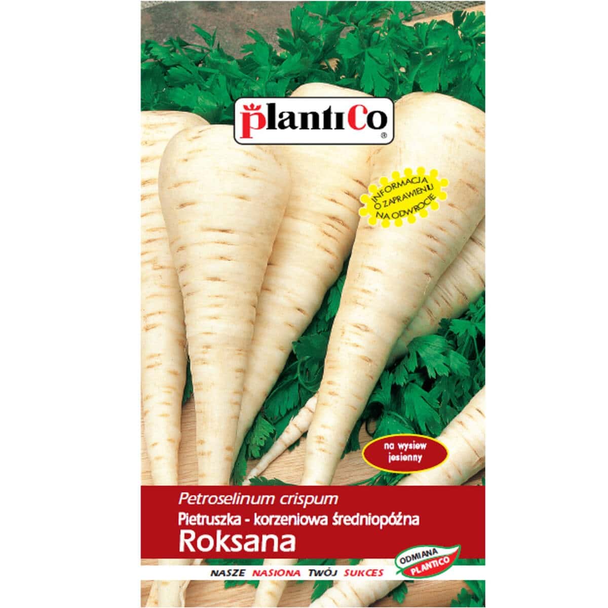 PlantiCo Parsley root Roksana - ideal for your garden