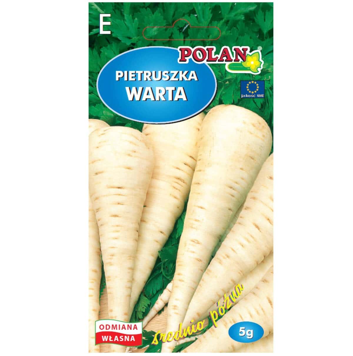 Parsley root Warta - late variety ideal for storage