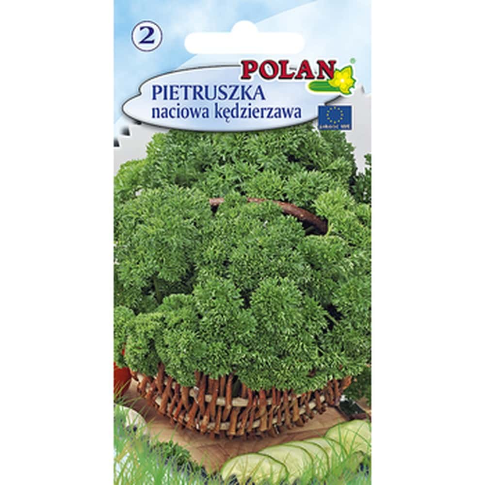 Parsley Moss Curled Polan - aromatic greens for your kitchen