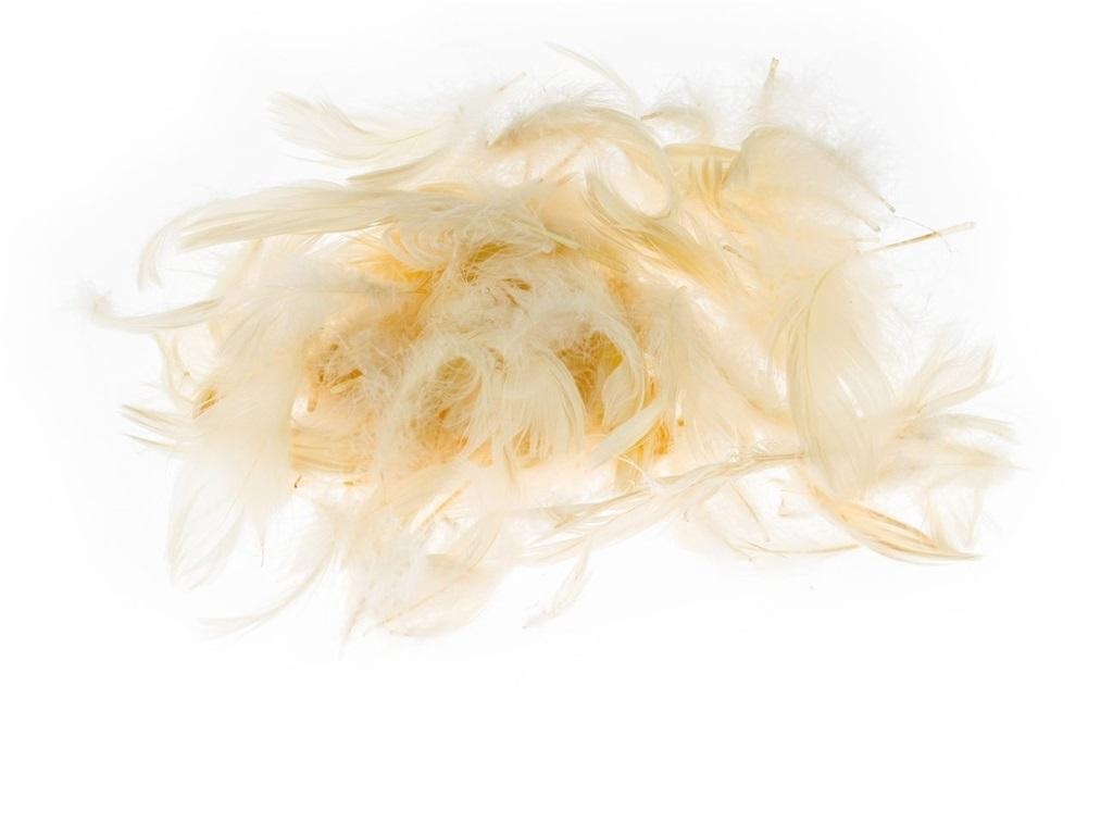 Ecru feathers natural - delicate and versatile