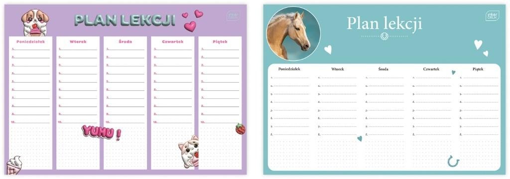 Interdruk A4 Timetable Girls mix (10pcs) - perfect for schoolgirls