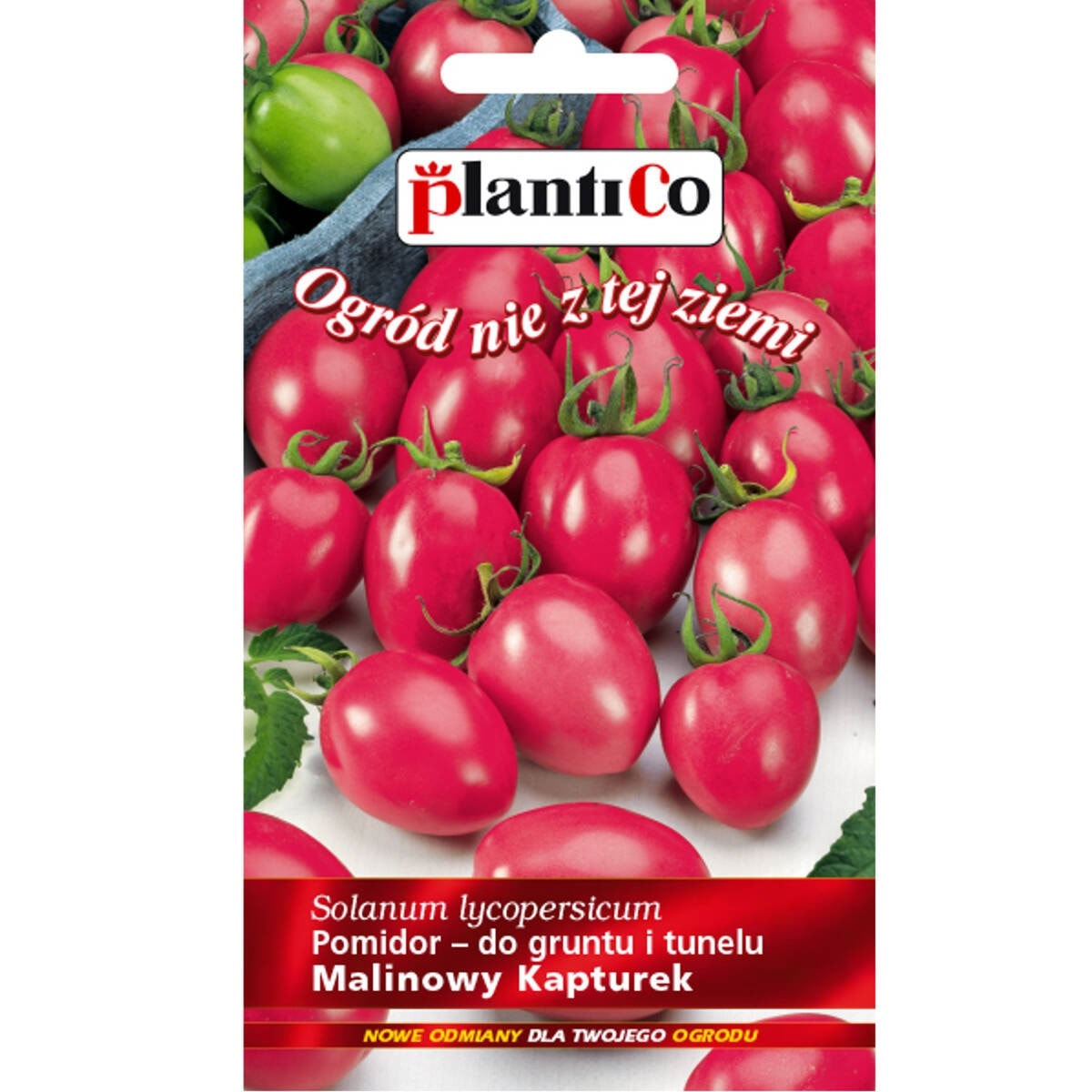 PlantiCo Tomato Raspberry Cap - high, ground, ideal for tunnels