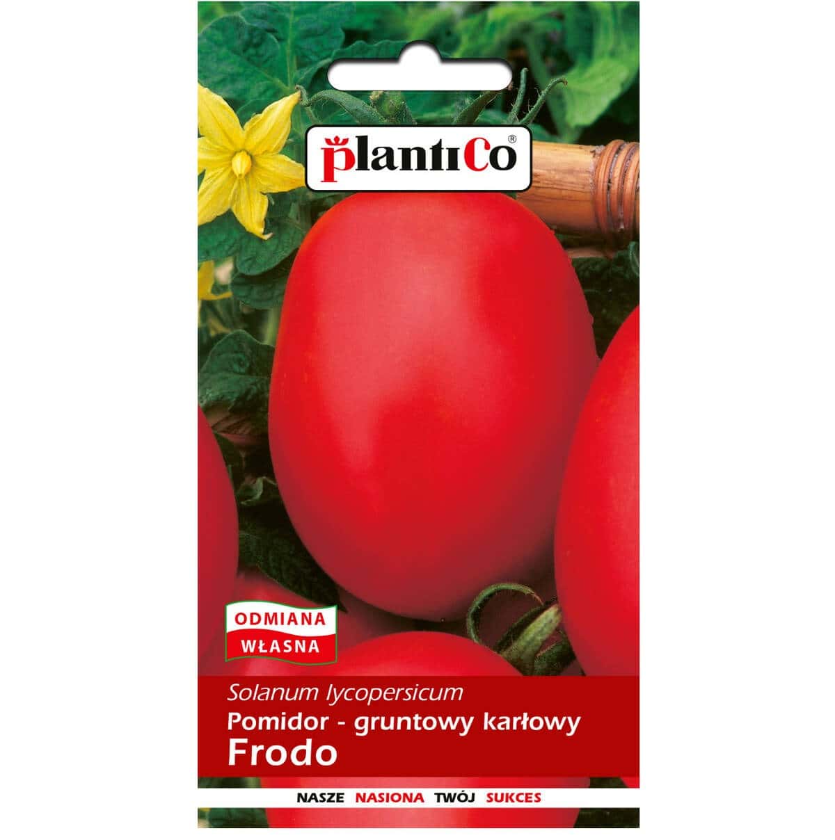 Dwarf Tomato Frodo - early and productive variety for your garden