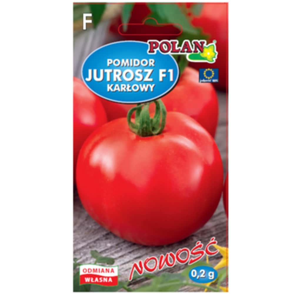 PlantiCo Dwarf tomato Jutrosz F1 - early variety for your garden