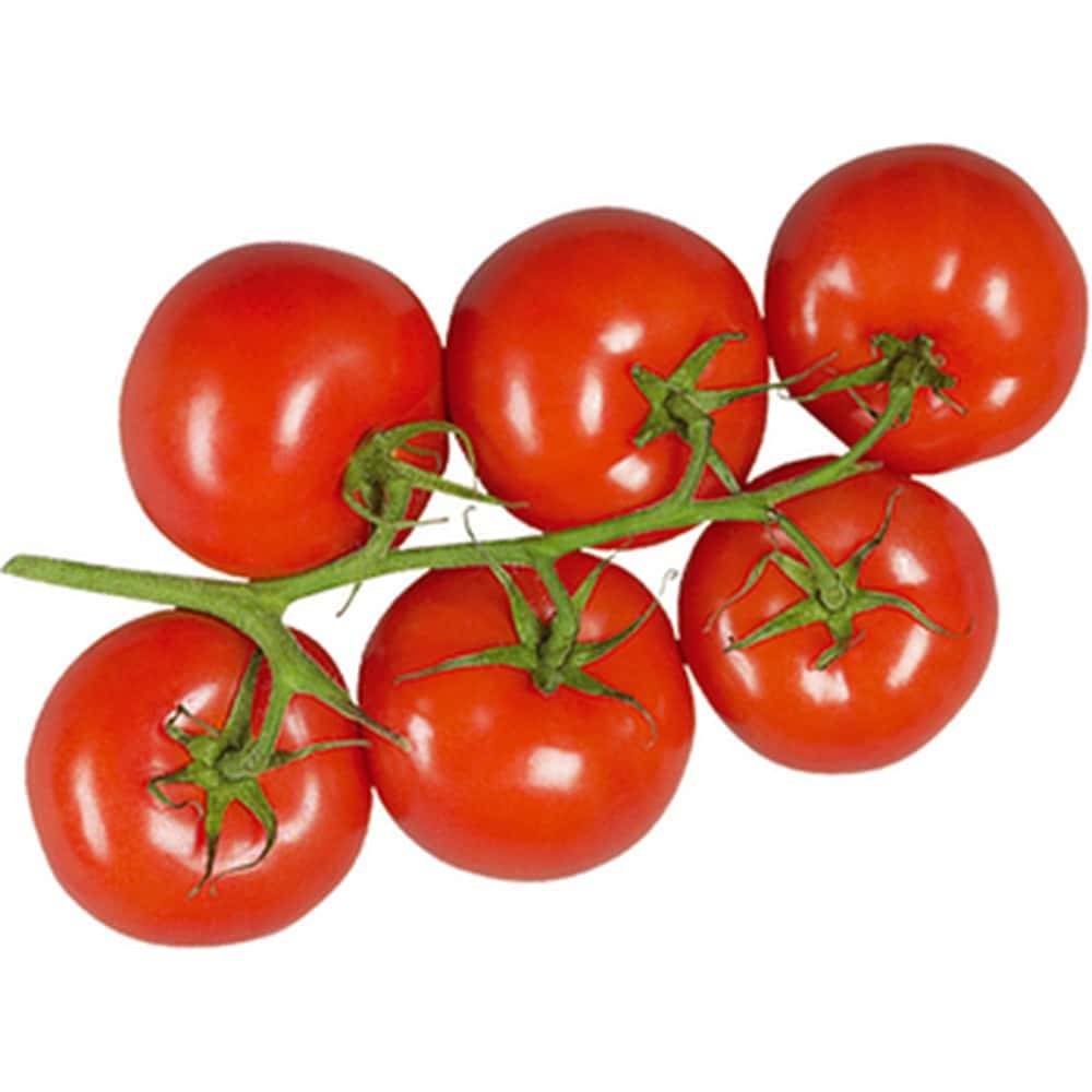 Vine Tomatoes - Spanish Tomatoes Class I - 5kg
