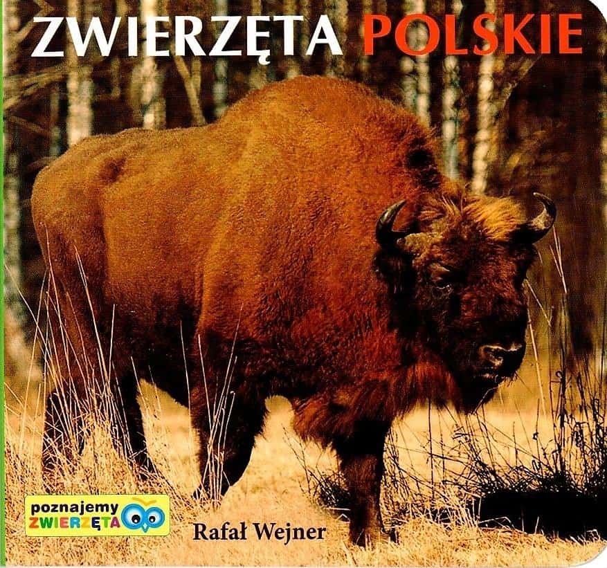 Liwona: Getting to Know Polish Animals - Educational booklet for the youngest