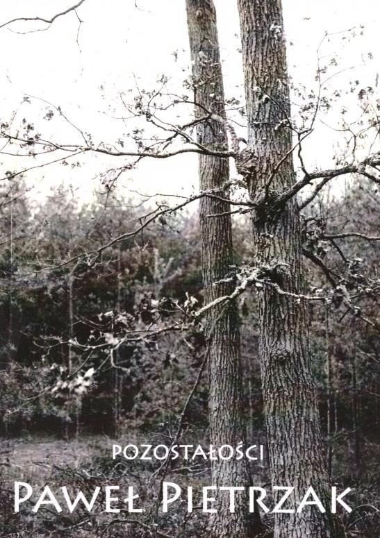 Paweł Pietrzak - Remnants - a collection of mysterious short stories