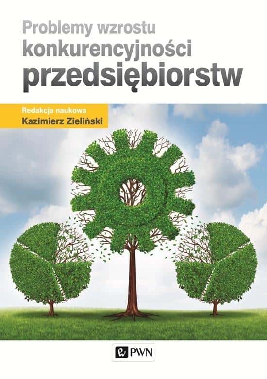 Problems of enterprise competitiveness growth - Kazimierz Zieliński - publication about business