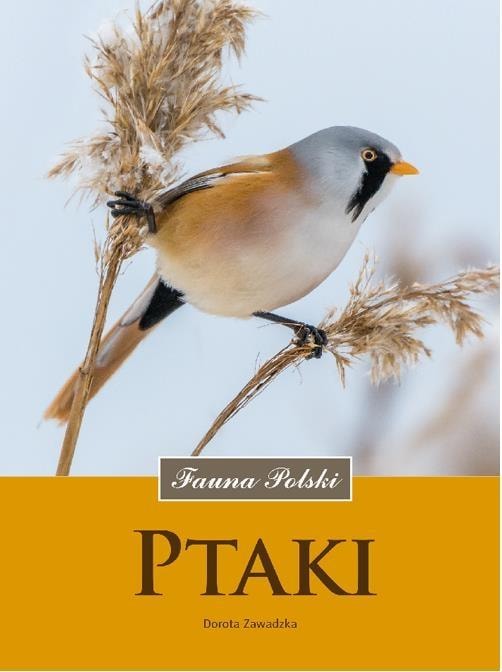 Birds. Fauna of Poland - Dorota Zawadzka - Discover the world of birds!