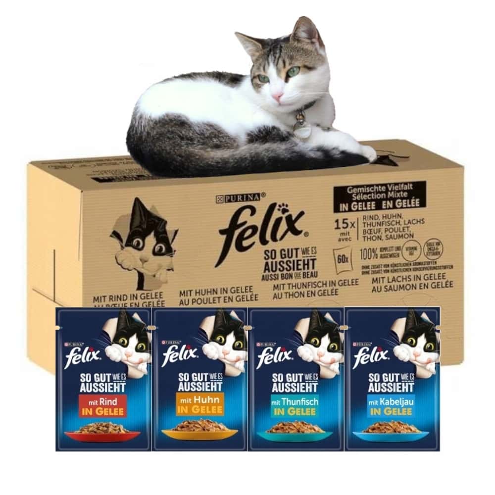 Purina Felix Mix - Different flavors for your cat
