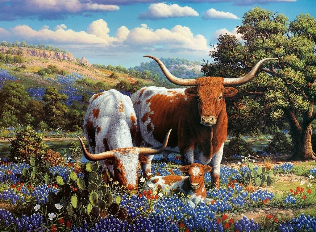 Ravensburger 2D Puzzle: Long-horned cows 500 pieces - Perfect as a gift