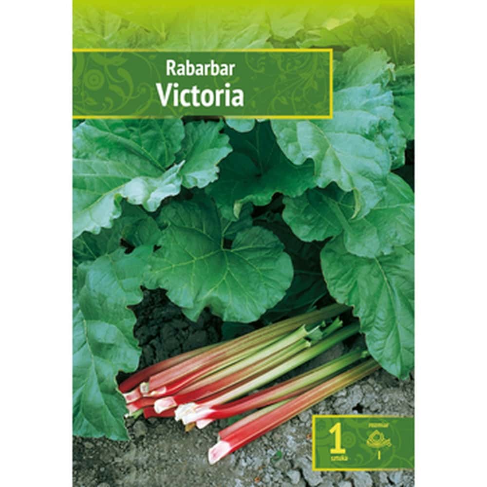 Rhubarb Victoria - Mid-early perennial for your garden